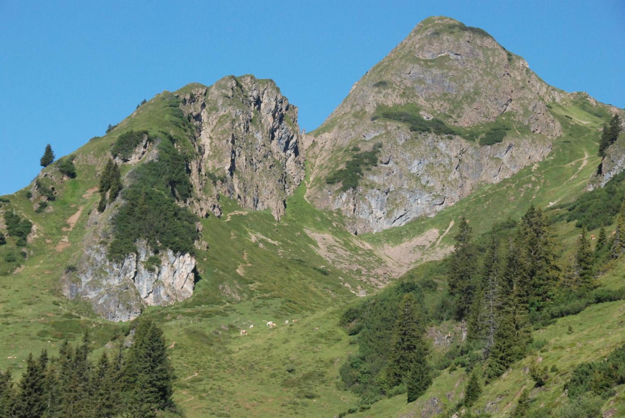 Erbhof Hinterrain Villa Leogang Exterior foto